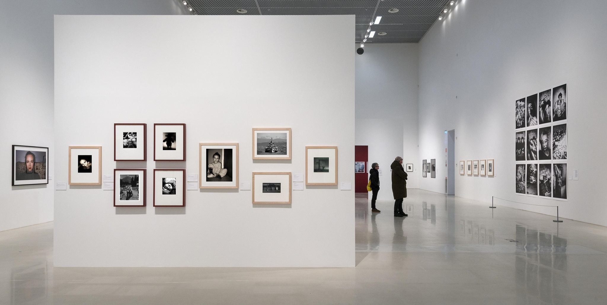 adrian marinescu künstler maler zeichner art Fotografie Pictor Arta de Plastic