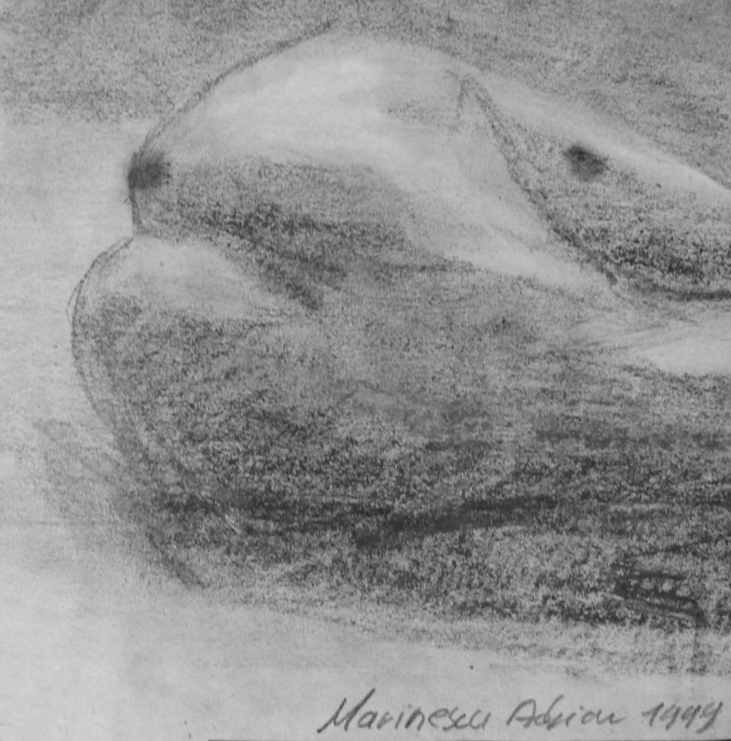 adrian marinescu künstler maler zeichner art